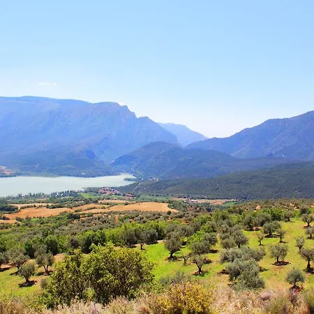 Base Holiday home Llimiana